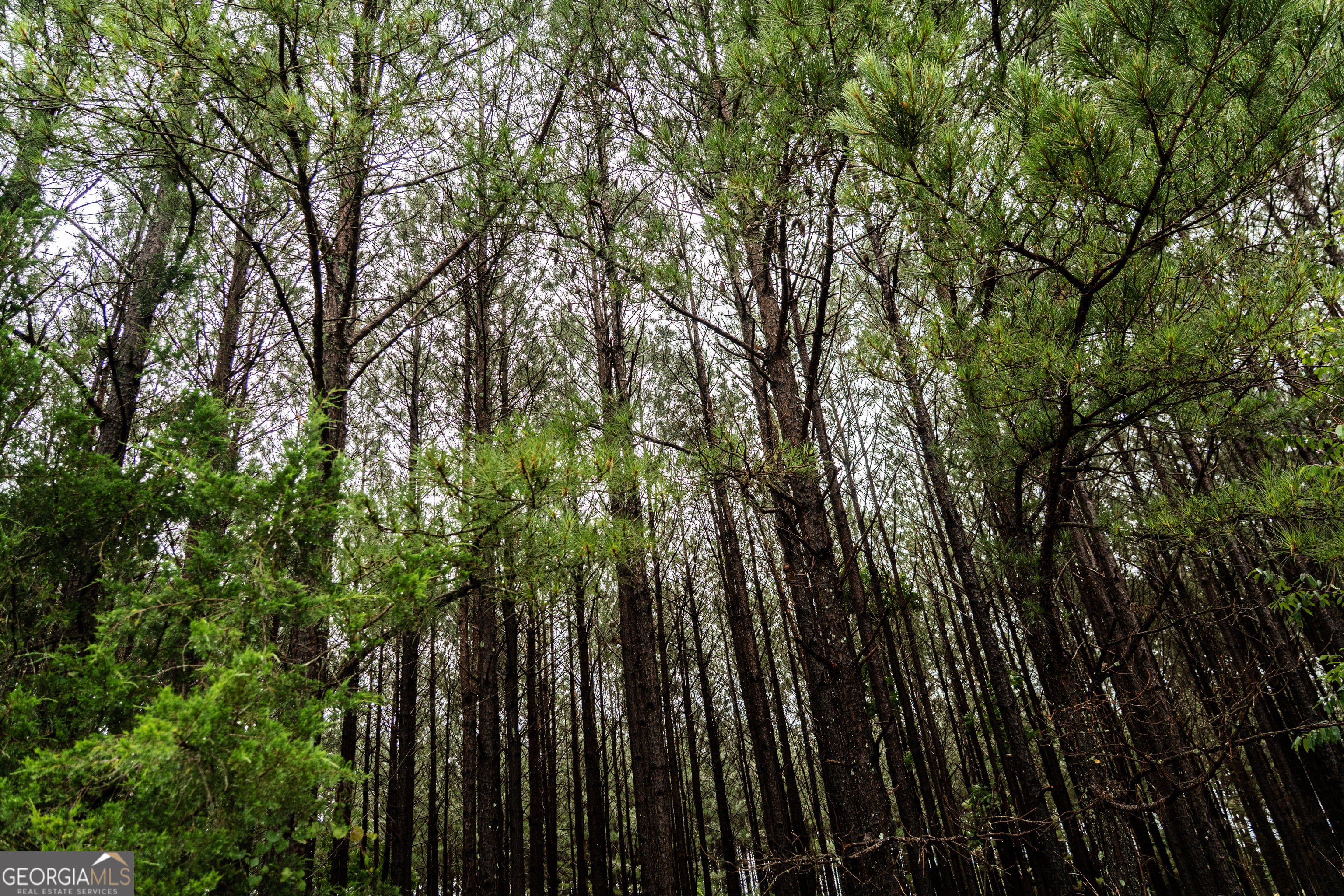 990 Highway 49 Americus, GA 31719 - Photo 43 of 121