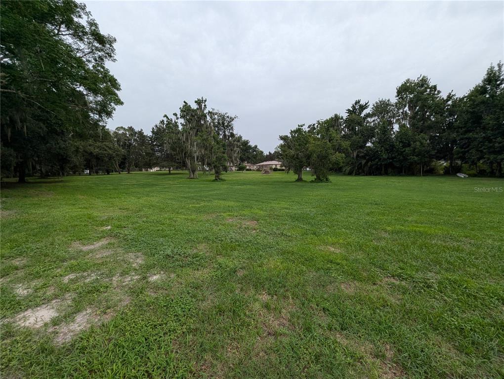 18302 Hanna Road Lutz, FL 33549 - Photo 45 of 58 Gallery Image 45