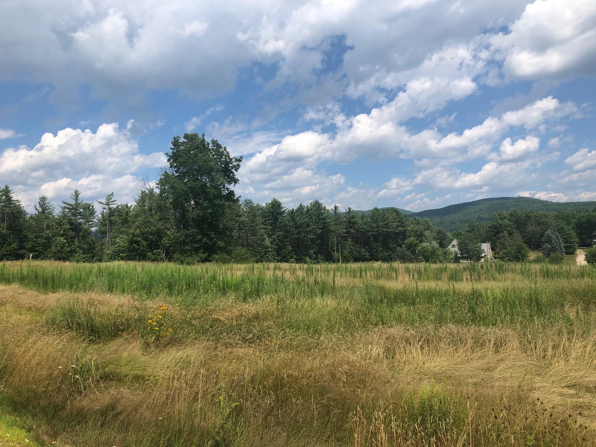 Blake Mountain Road, Unit B Thornton, NH 03285 - Photo 2 of 9