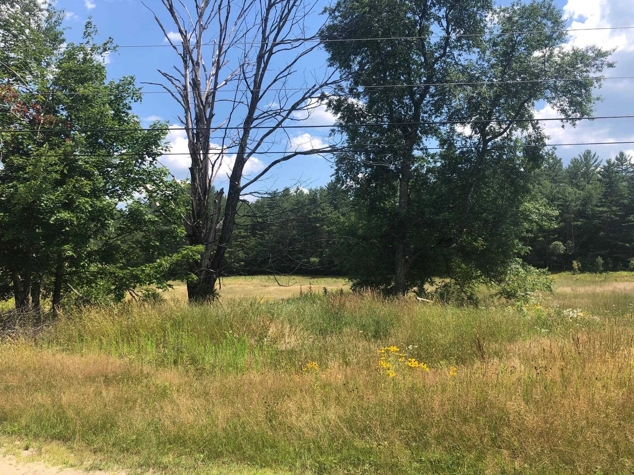 Blake Mountain Road, Unit B Thornton, NH 03285 - Photo 4 of 9