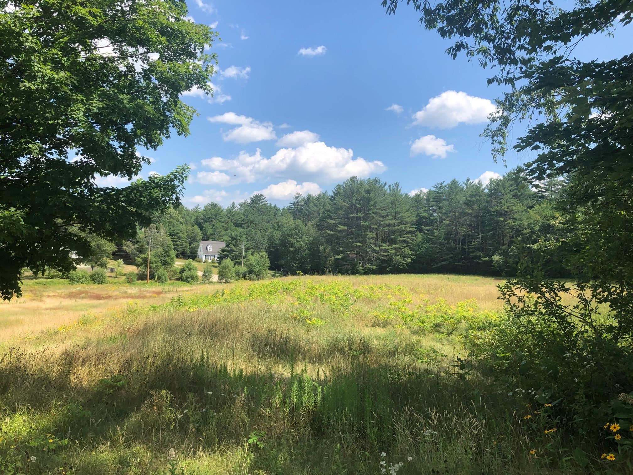 Blake Mountain Road, Unit B Thornton, NH 03285 - Photo 5 of 9