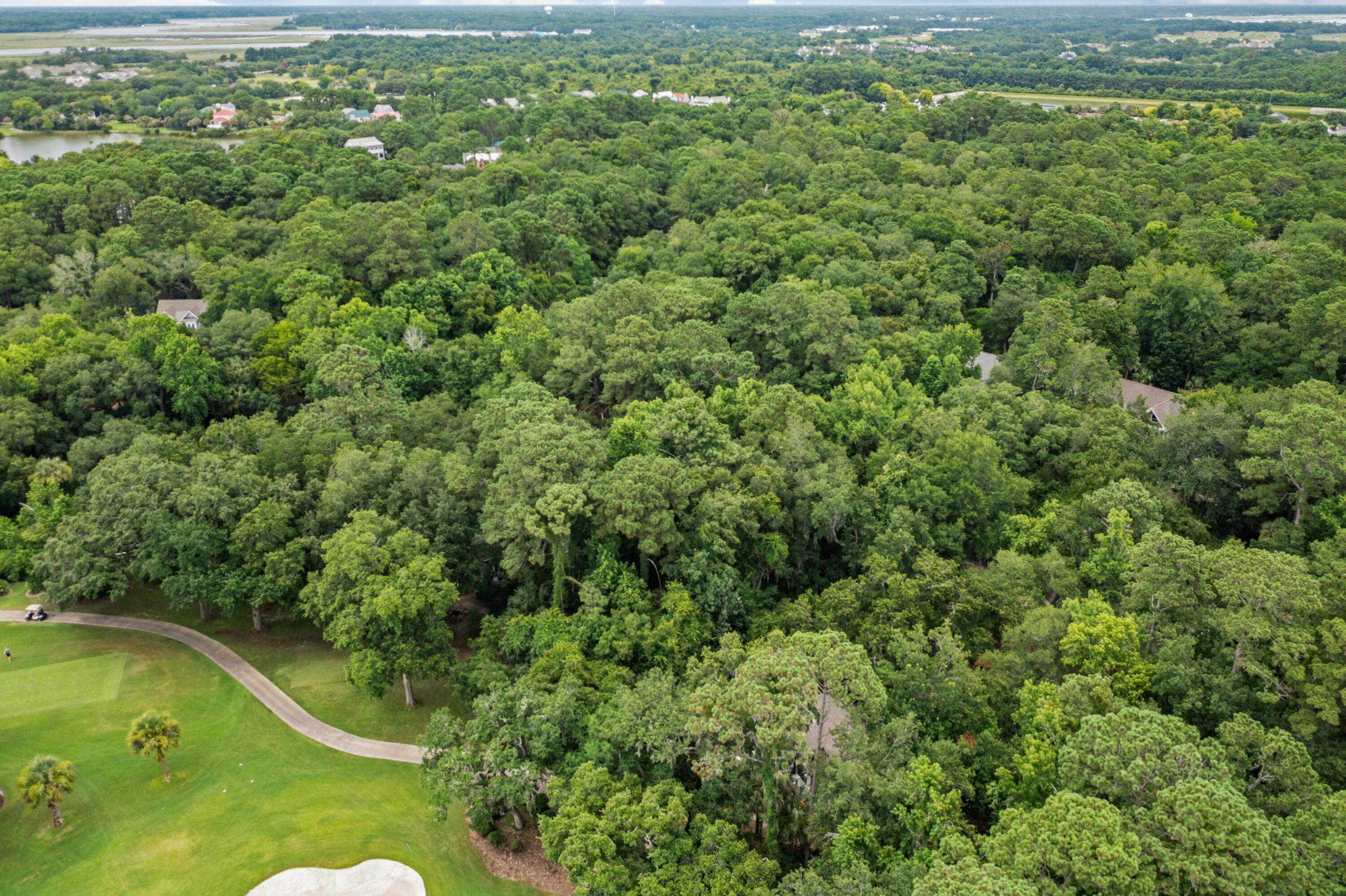 2841 Captain Sams Road Johns Island, SC 29455 - Photo 32 of 40 105173-coastalrephoto2841CapSam-36