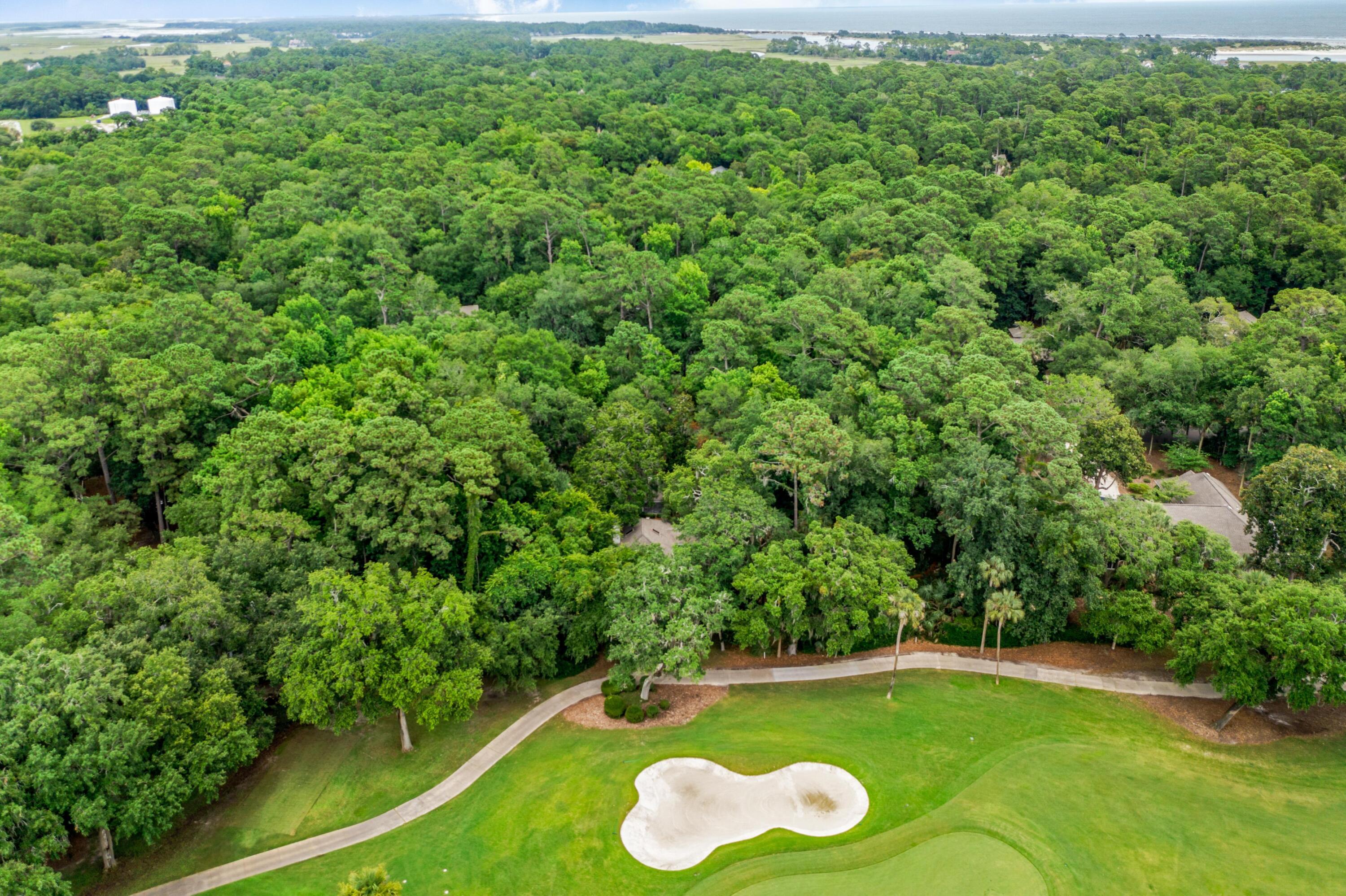 2841 Captain Sams Road Johns Island, SC 29455 - Photo 33 of 40 105174-coastalrephoto2841CapSam-35