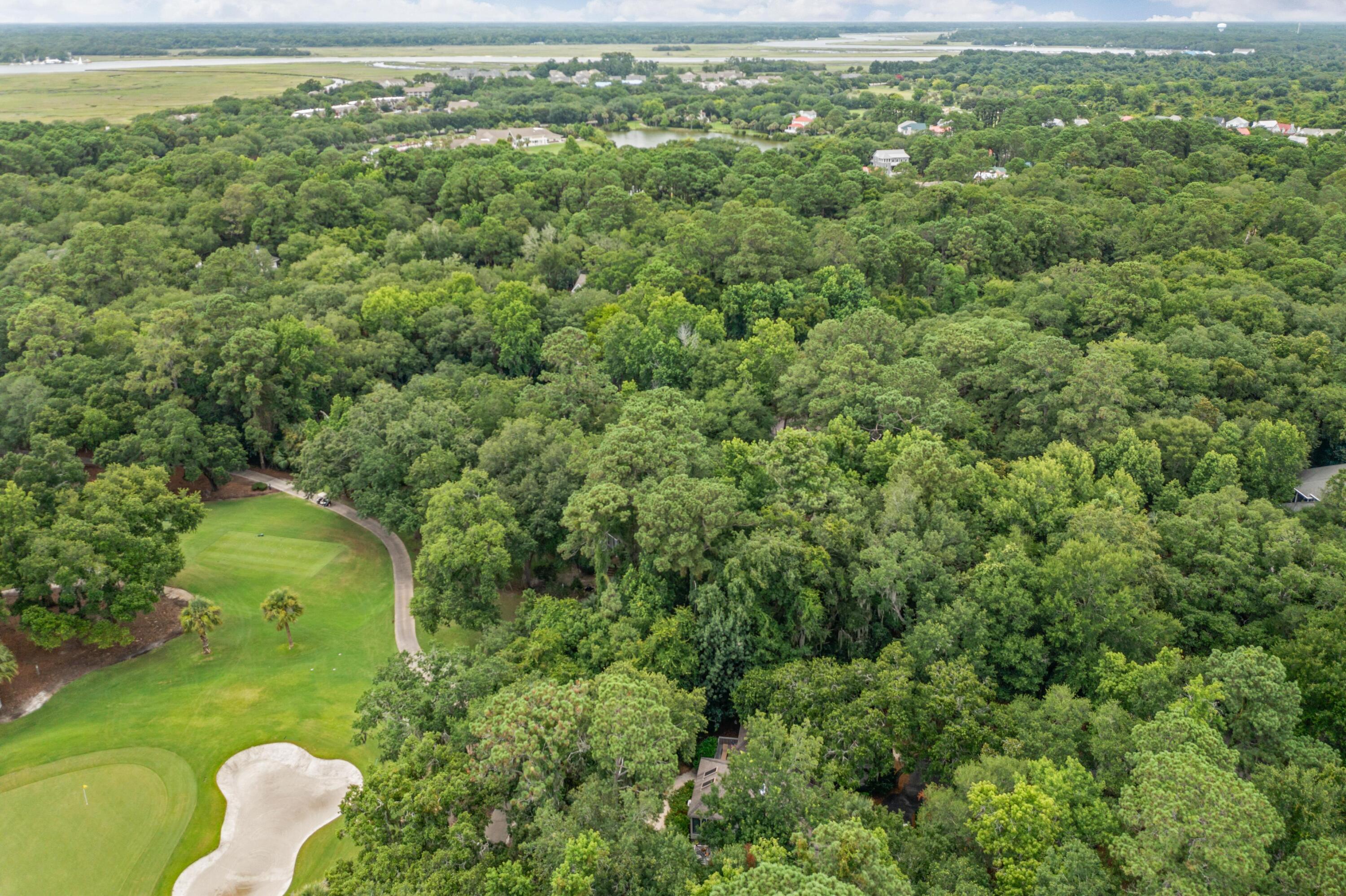 2841 Captain Sams Road Johns Island, SC 29455 - Photo 34 of 40 105175-coastalrephoto2841CapSam-37