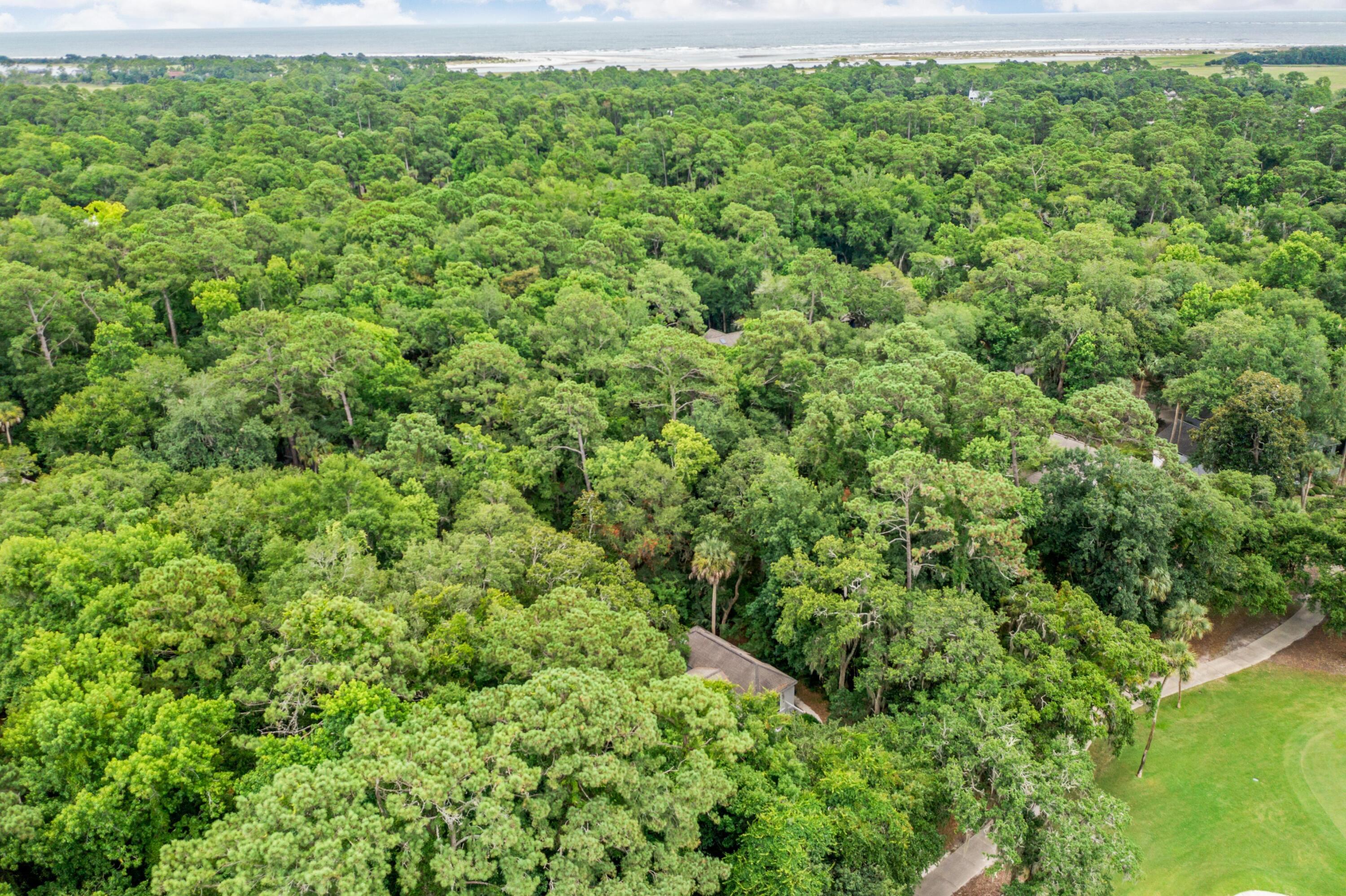 2841 Captain Sams Road Johns Island, SC 29455 - Photo 39 of 40 105181-coastalrephoto2841CapSam-34