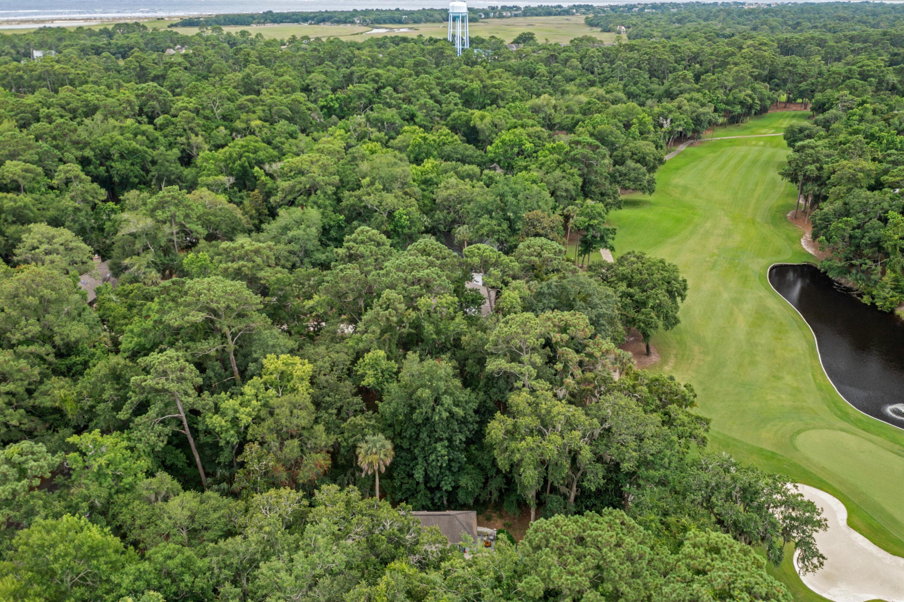 2841 Captain Sams Road Johns Island, SC 29455 - Photo 40 of 40 105186-coastalrephoto2841CapSam-33