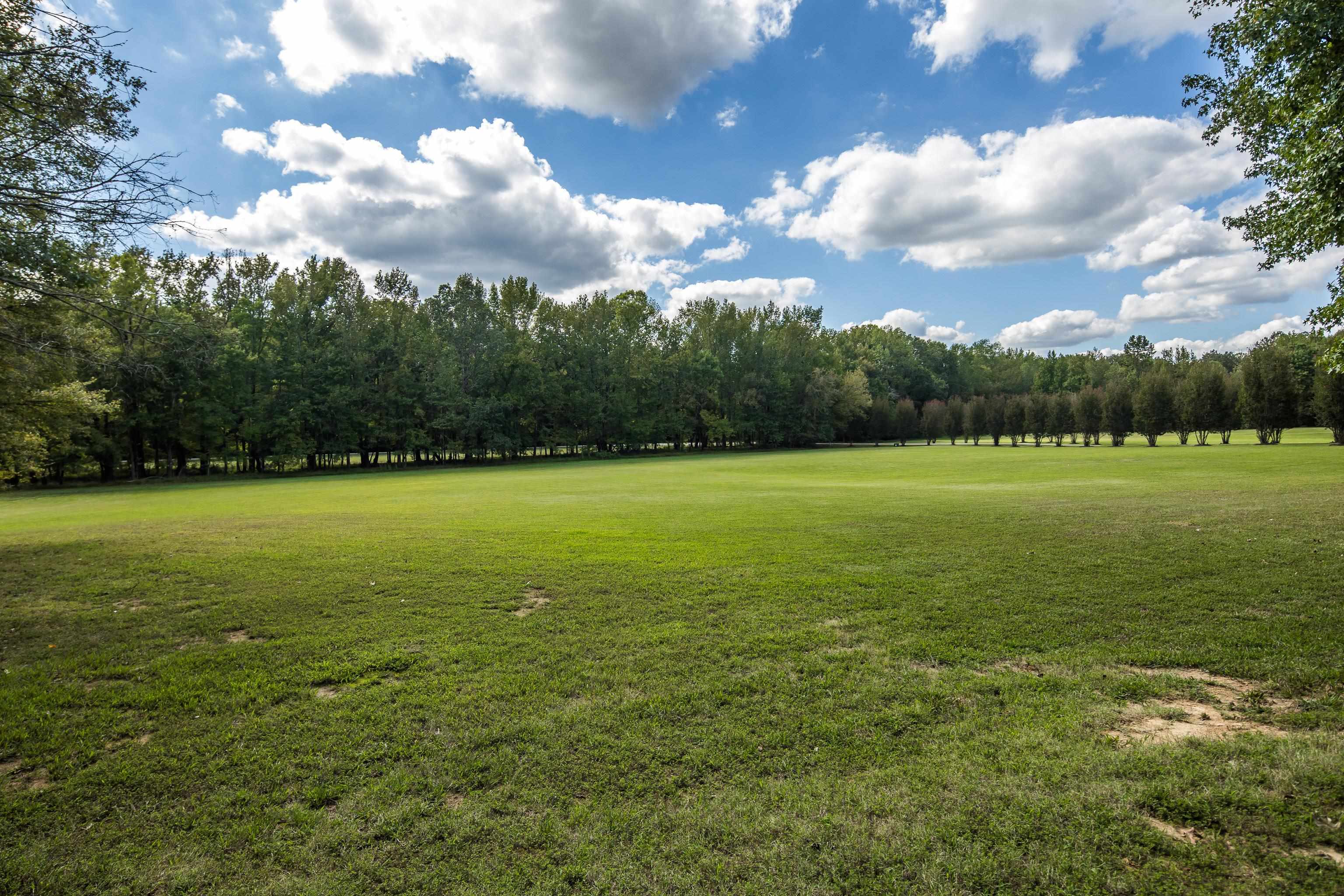 159 Lynn Road Eads, TN 38028 - Photo 39 of 40 There are several great pastures just waiting for horses or gardens! There is no HOA so your property can serve your needs! :)