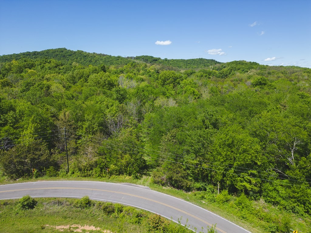44 Rocky Valley Road New Market, TN 37820 - Photo 25 of 49 Gallery Image 25