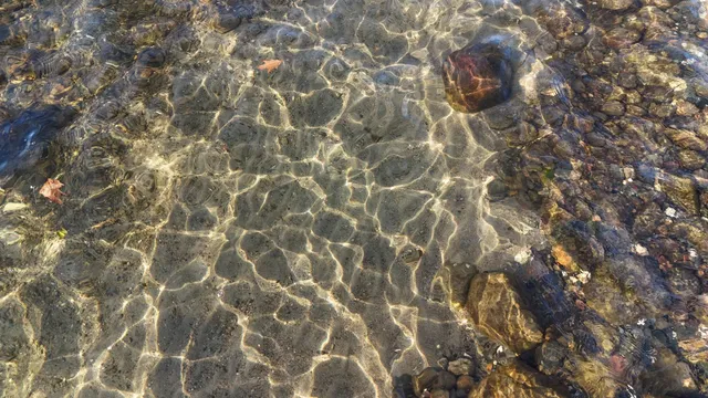 $515,000 | 7660 Lake John Drive, Annandale, MN 55302