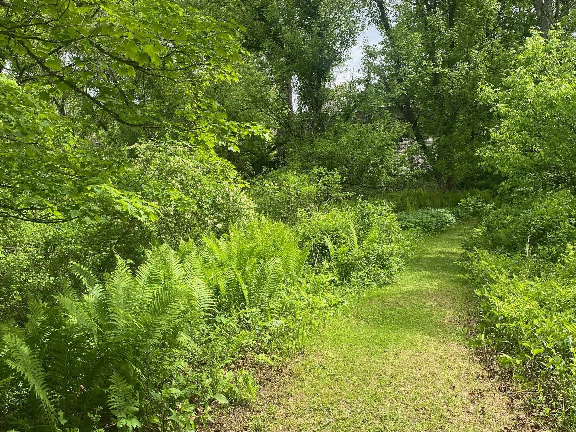 1254 Highway 5 Weathersfield, VT 05156 - Photo 12 of 58