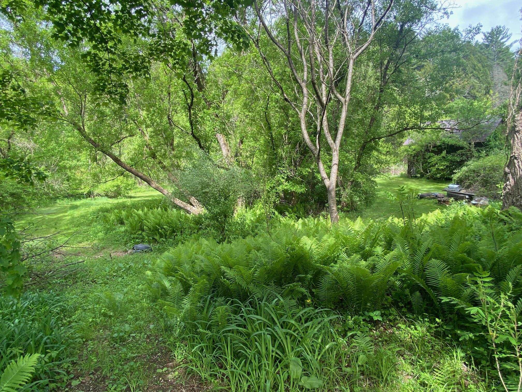 1254 Highway 5 Weathersfield, VT 05156 - Photo 13 of 58