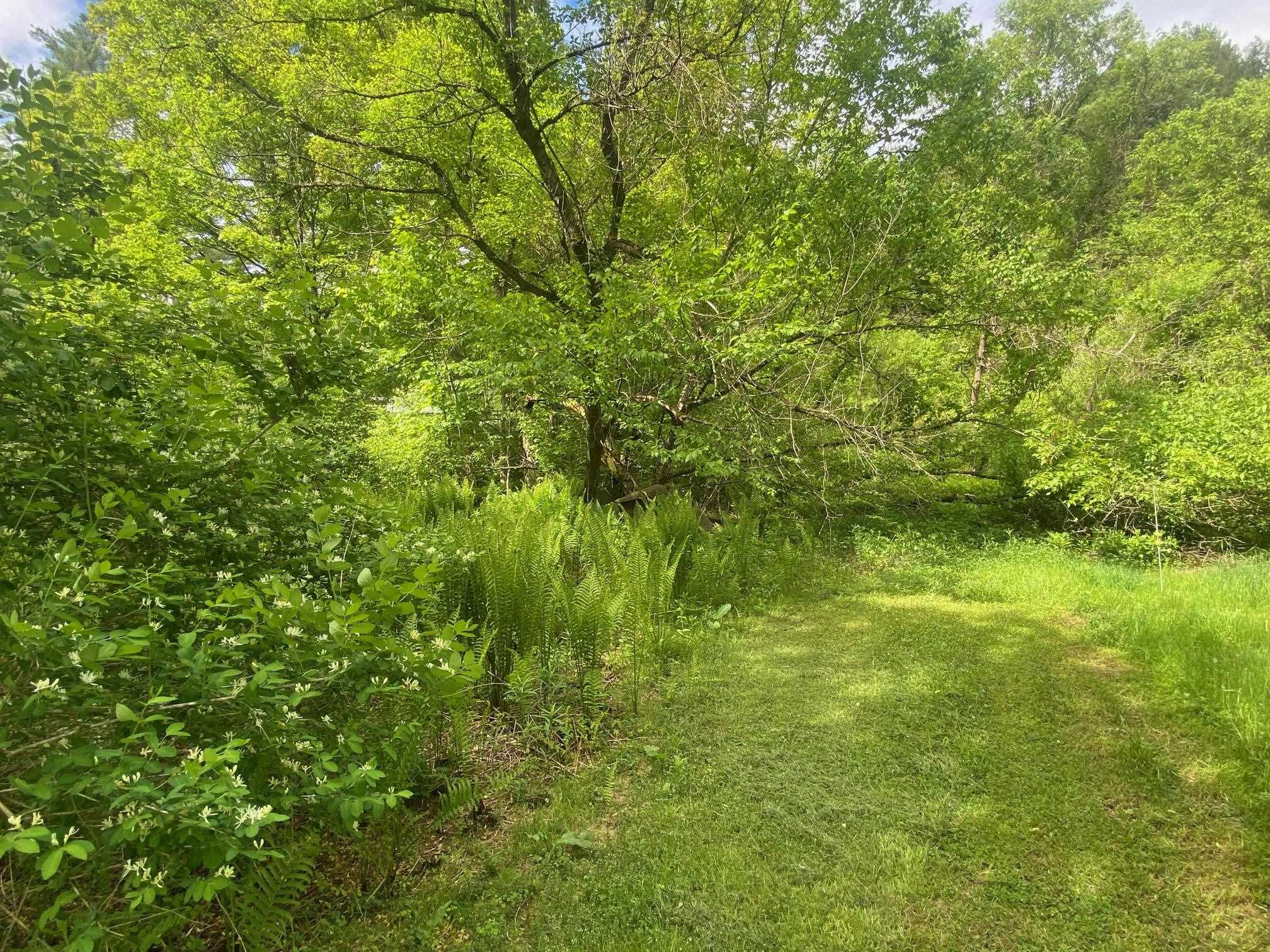 1254 Highway 5 Weathersfield, VT 05156 - Photo 15 of 58