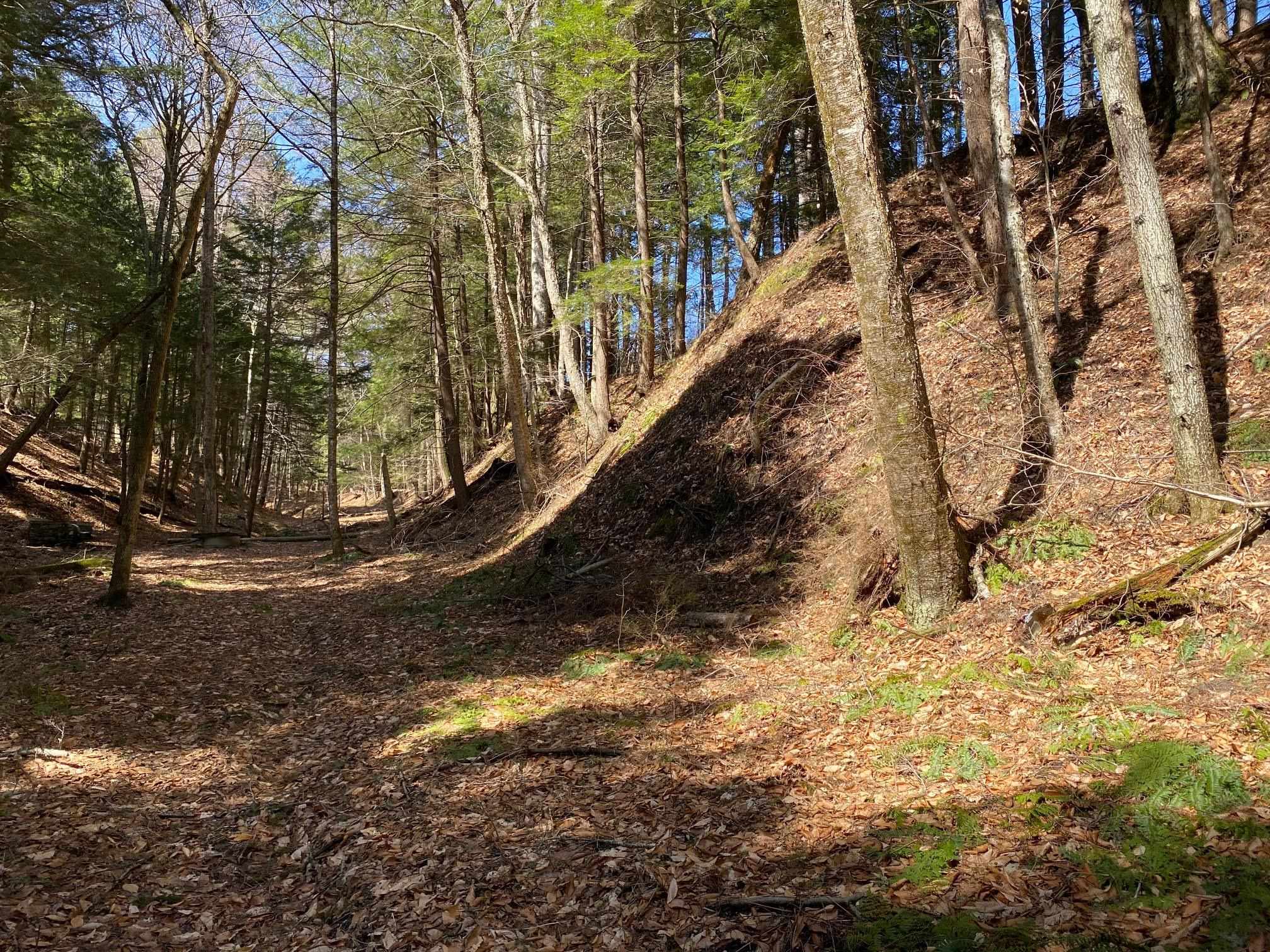 1254 Highway 5 Weathersfield, VT 05156 - Photo 56 of 58