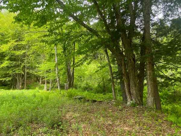 $485,000 | 1254 Highway 5, Weathersfield, VT 05156