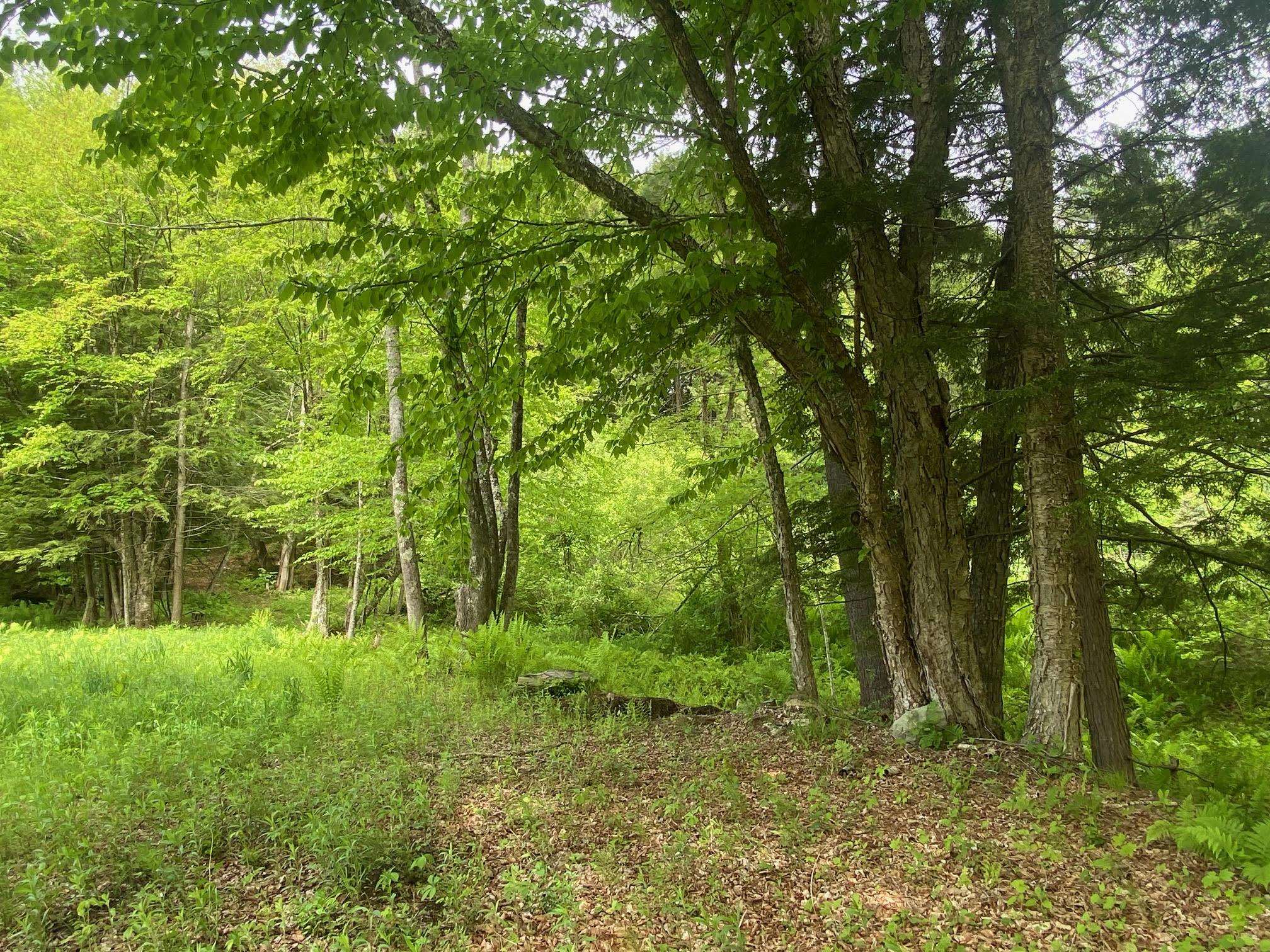 1254 Highway 5 Weathersfield, VT 05156 - Photo 10 of 58