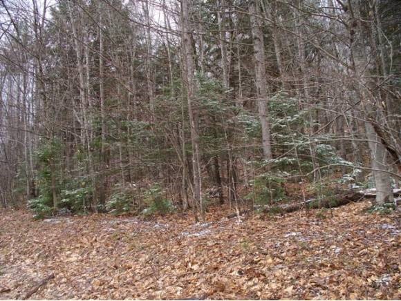 237-1 Fox Road Madison, NH 03849 - Photo 3 of 6