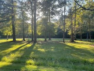13001 Boyd Road Covington, LA 70435 - Photo 3 of 5