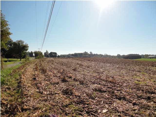 0 Middle Mount Vernon Road Mount Vernon, IN 47620 - Photo 8 of 10 Gallery Image 8
