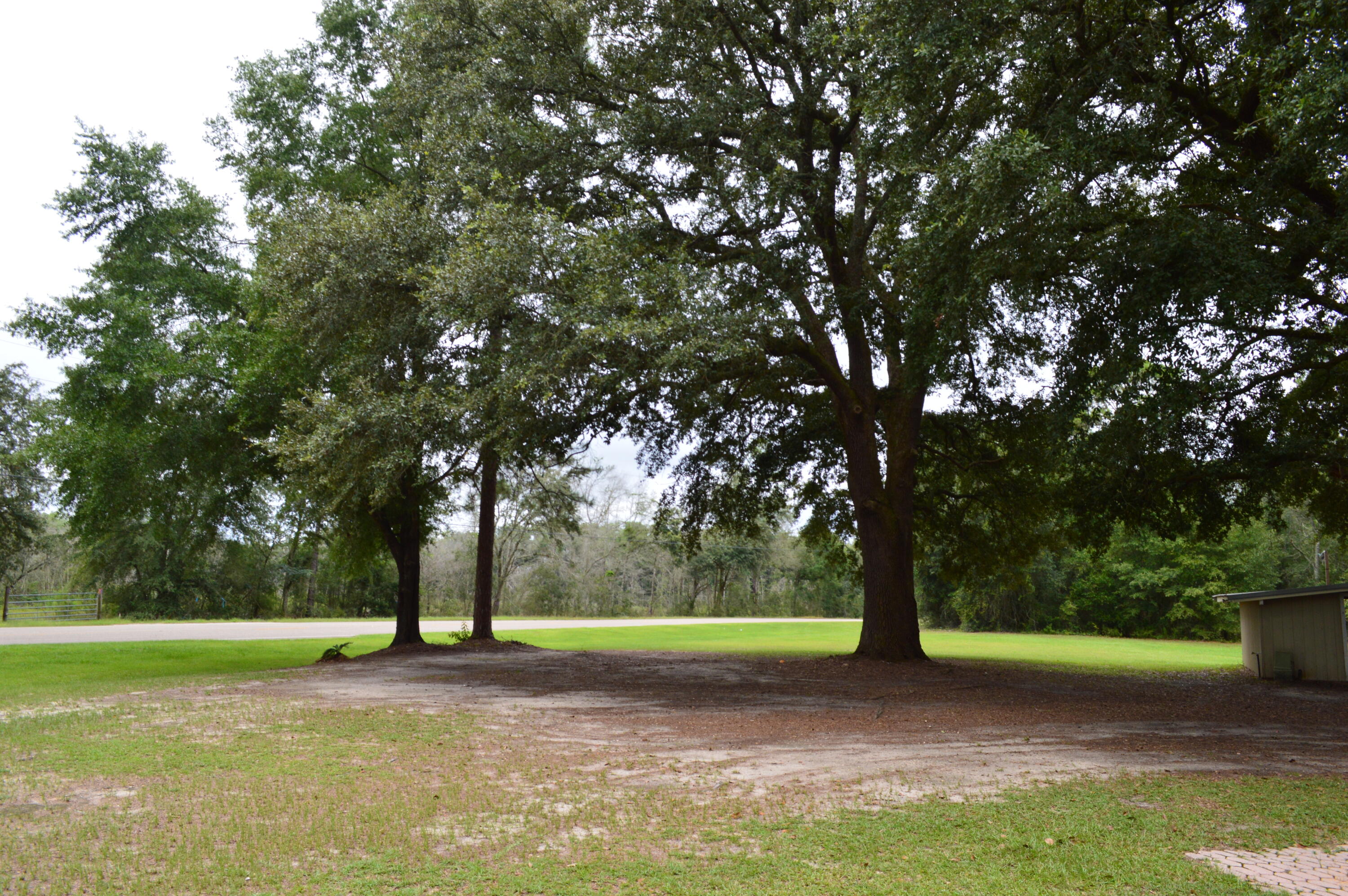 7582 Goat Hill Road See Remarks, AL 36477 - Photo 25 of 43 a view of a tree in the middle of a yard