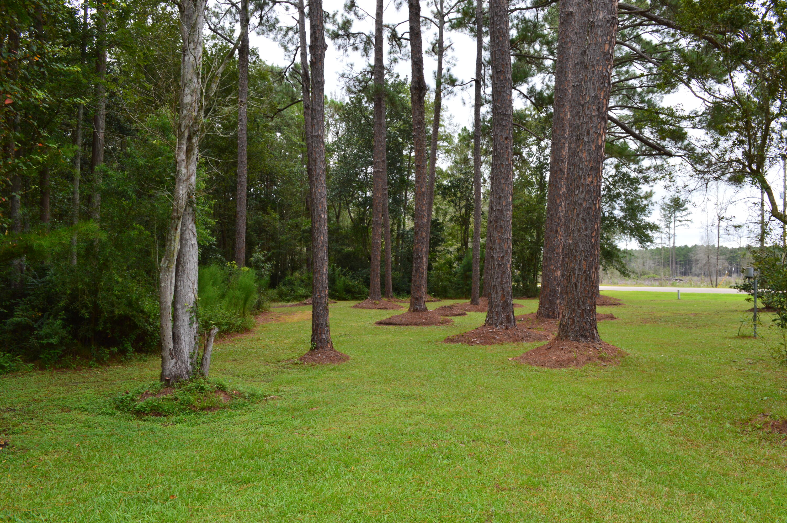 7582 Goat Hill Road See Remarks, AL 36477 - Photo 31 of 43 a view of a backyard with green space