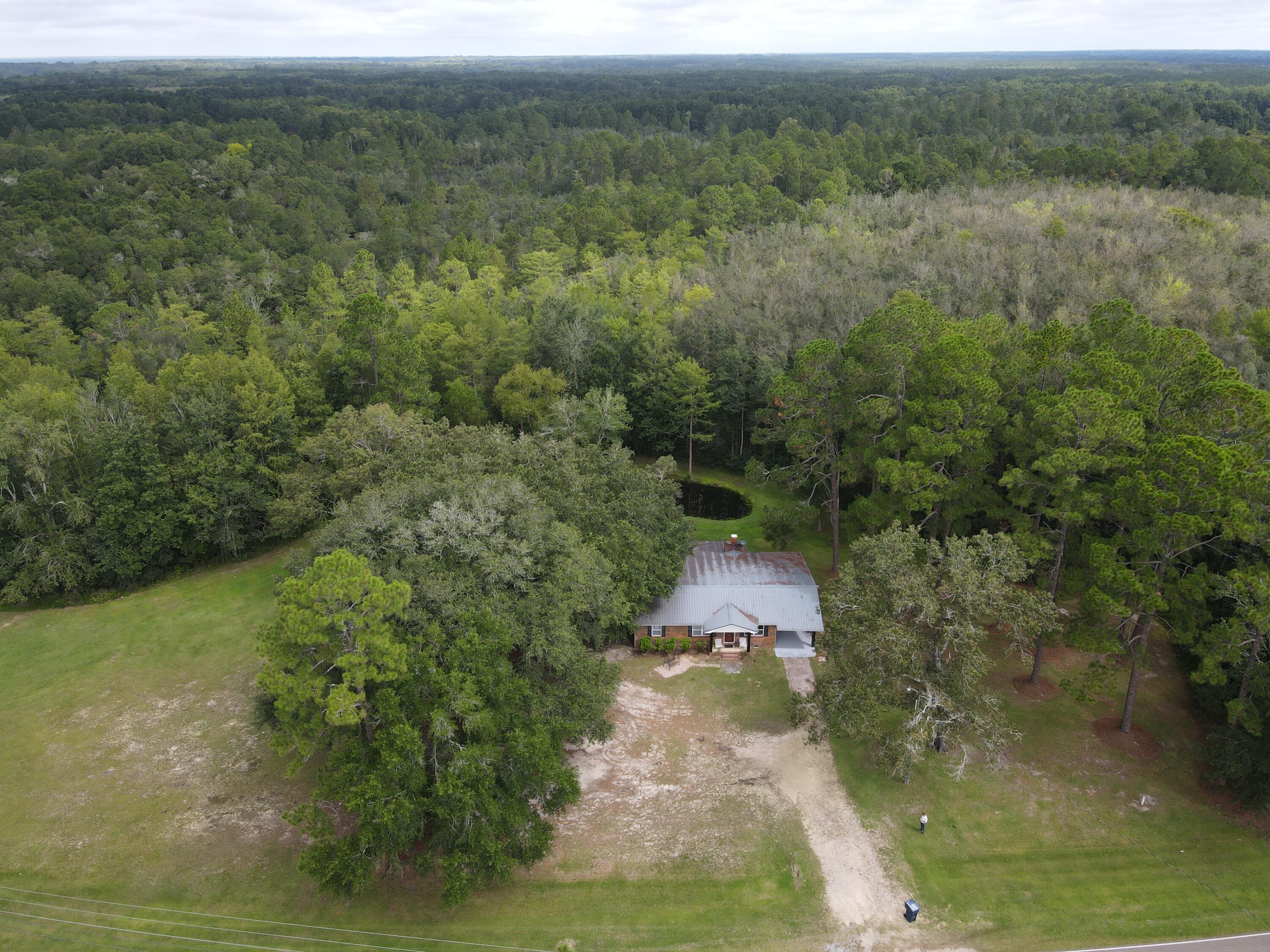 7582 Goat Hill Road See Remarks, AL 36477 - Photo 39 of 43 a view of a forest with a yard