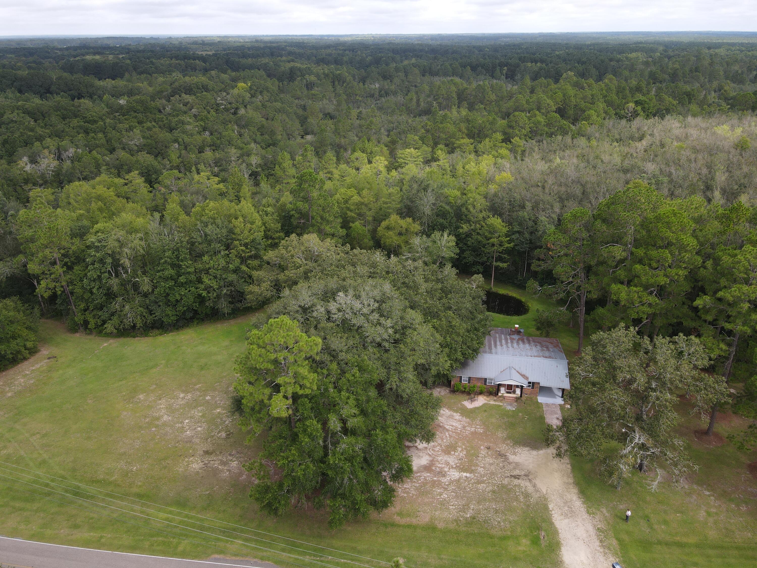 7582 Goat Hill Road See Remarks, AL 36477 - Photo 40 of 43 a view of a forest with a yard