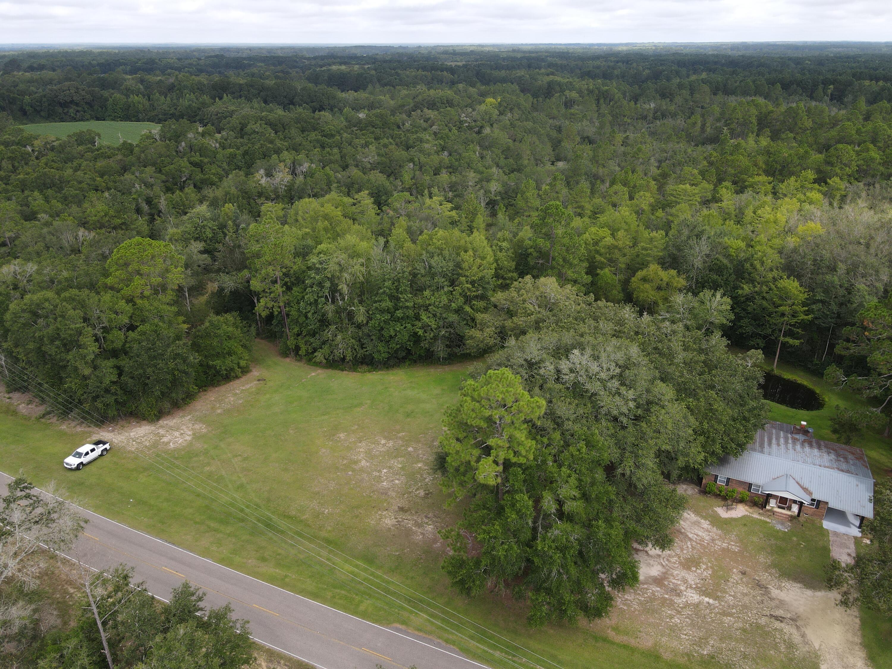 7582 Goat Hill Road See Remarks, AL 36477 - Photo 42 of 43 a view of a forest with a yard