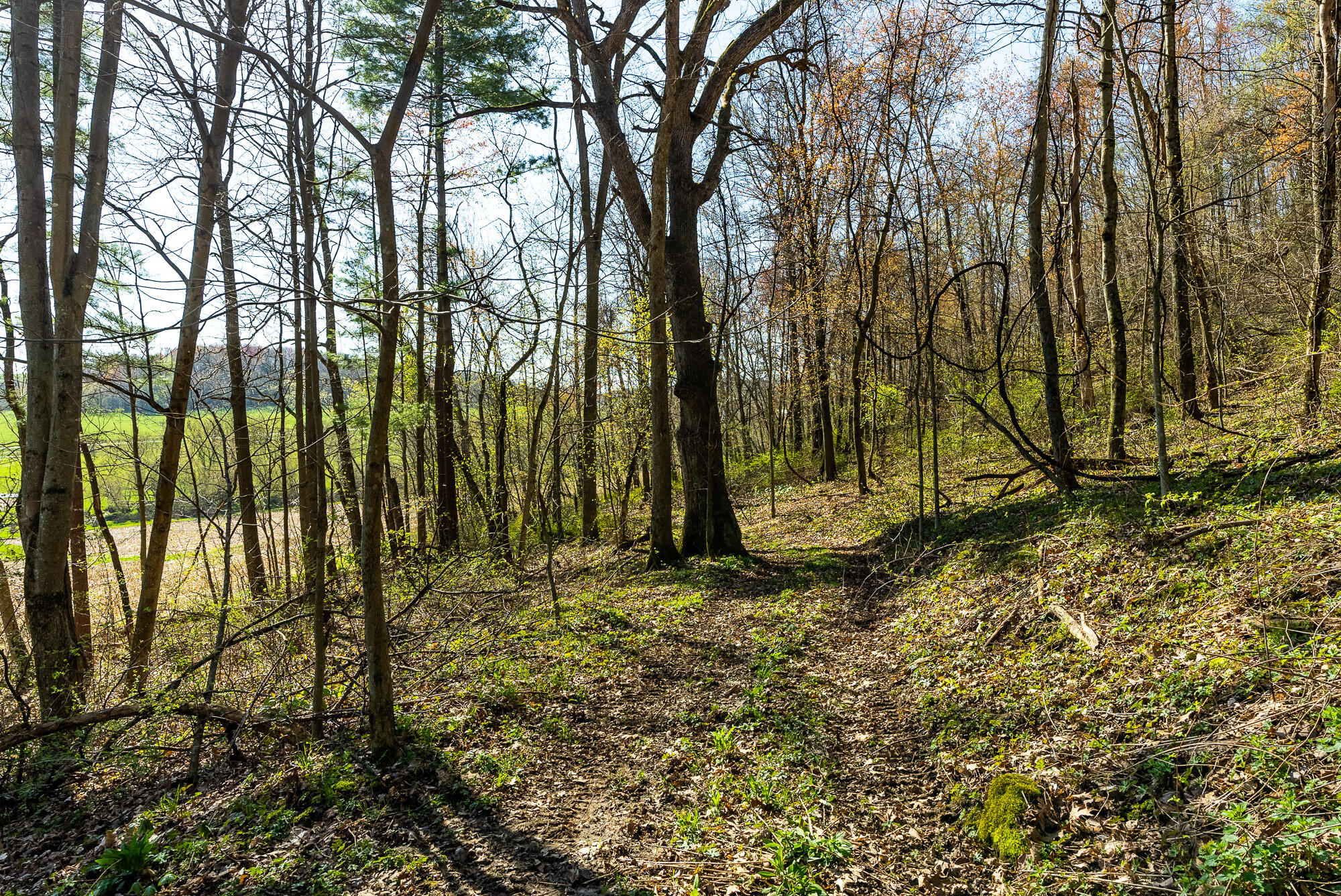 Lt2 Eli Valley Road Hillpoint, WI 53937 - Photo 11 of 47 Sauk-County-WI-53-Acres-Land-For-Sale-11