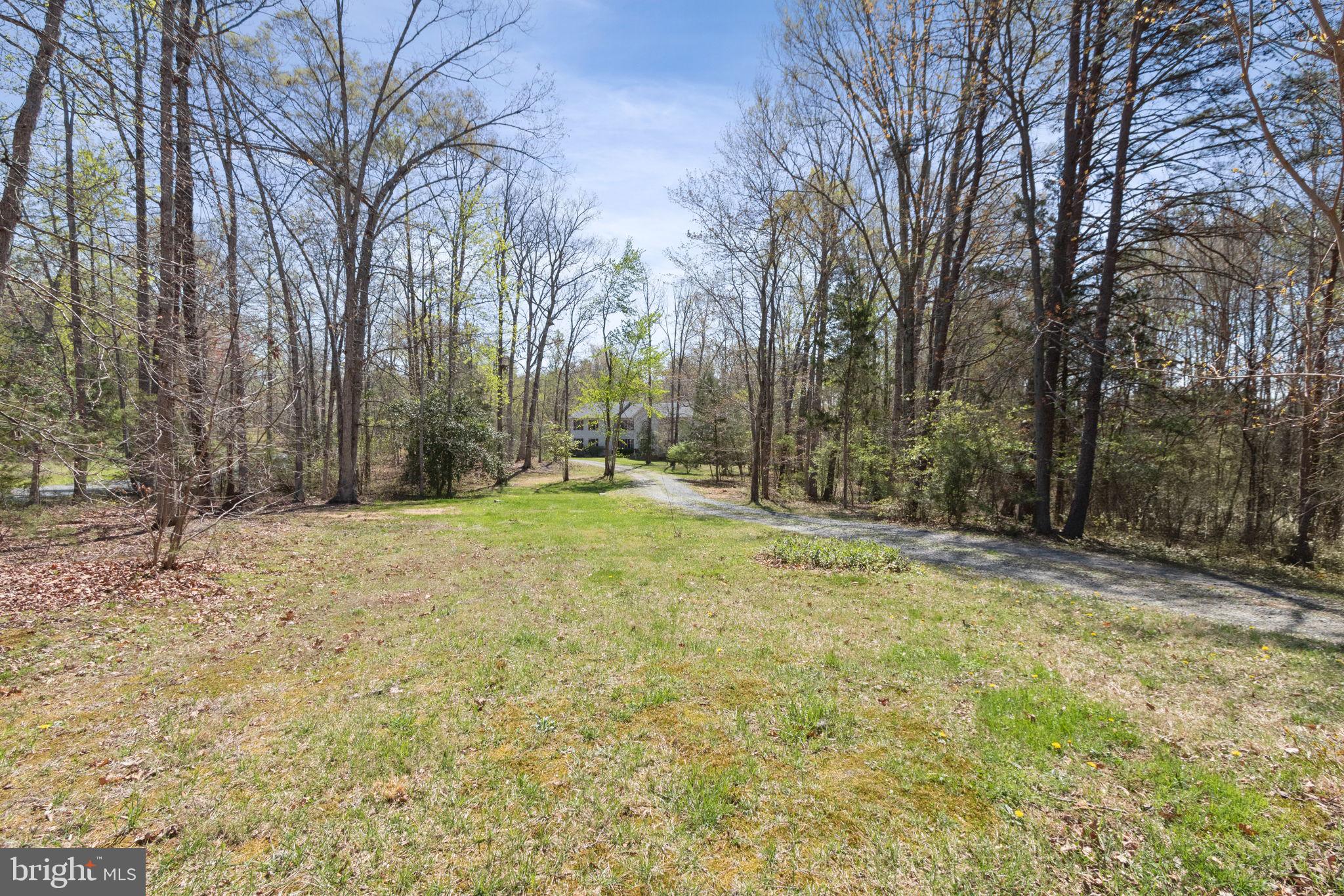 135 Cropp Road Fredericksburg, VA 22406 - Photo 2 of 67 a view of a yard with trees