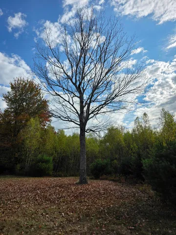 $375,000 | 25 Donachy Road, Frankfort, ME 04438