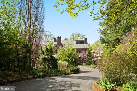 a view of a back yard