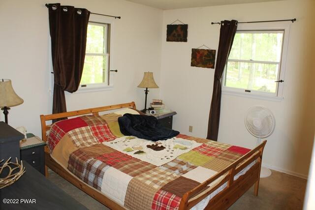 236 Lakeview Road Lackawaxen, PA 18435 - Photo 5 of 31 Bedroom 1