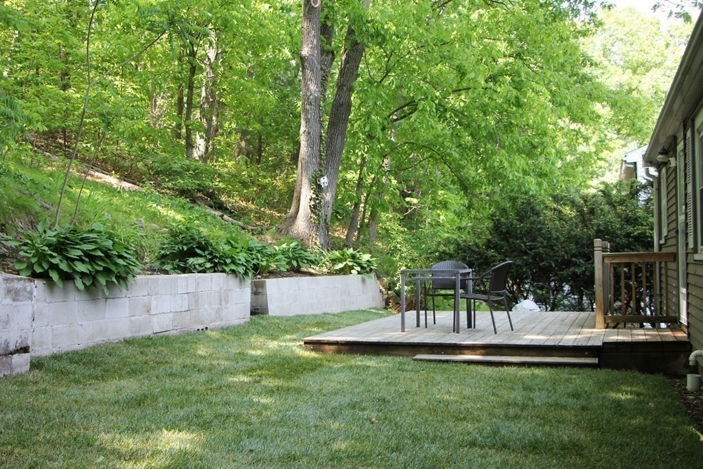 12 James Street Winchester, MA 01890 - Photo 19 of 23 a view of a garden with a bench