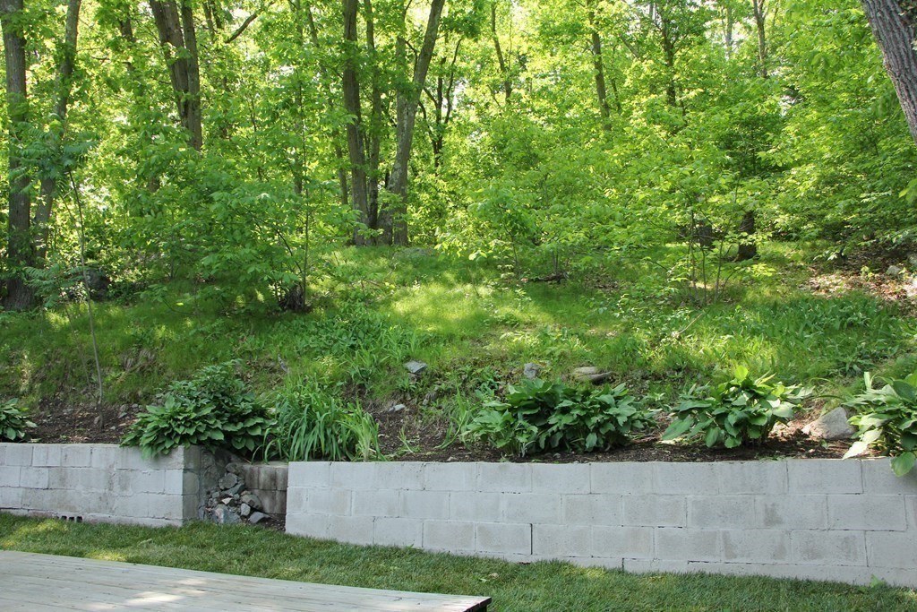 12 James Street Winchester, MA 01890 - Photo 20 of 23