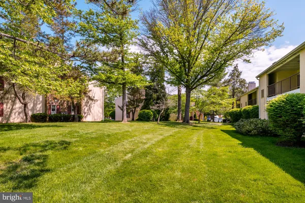 a view of a trees in front of a house