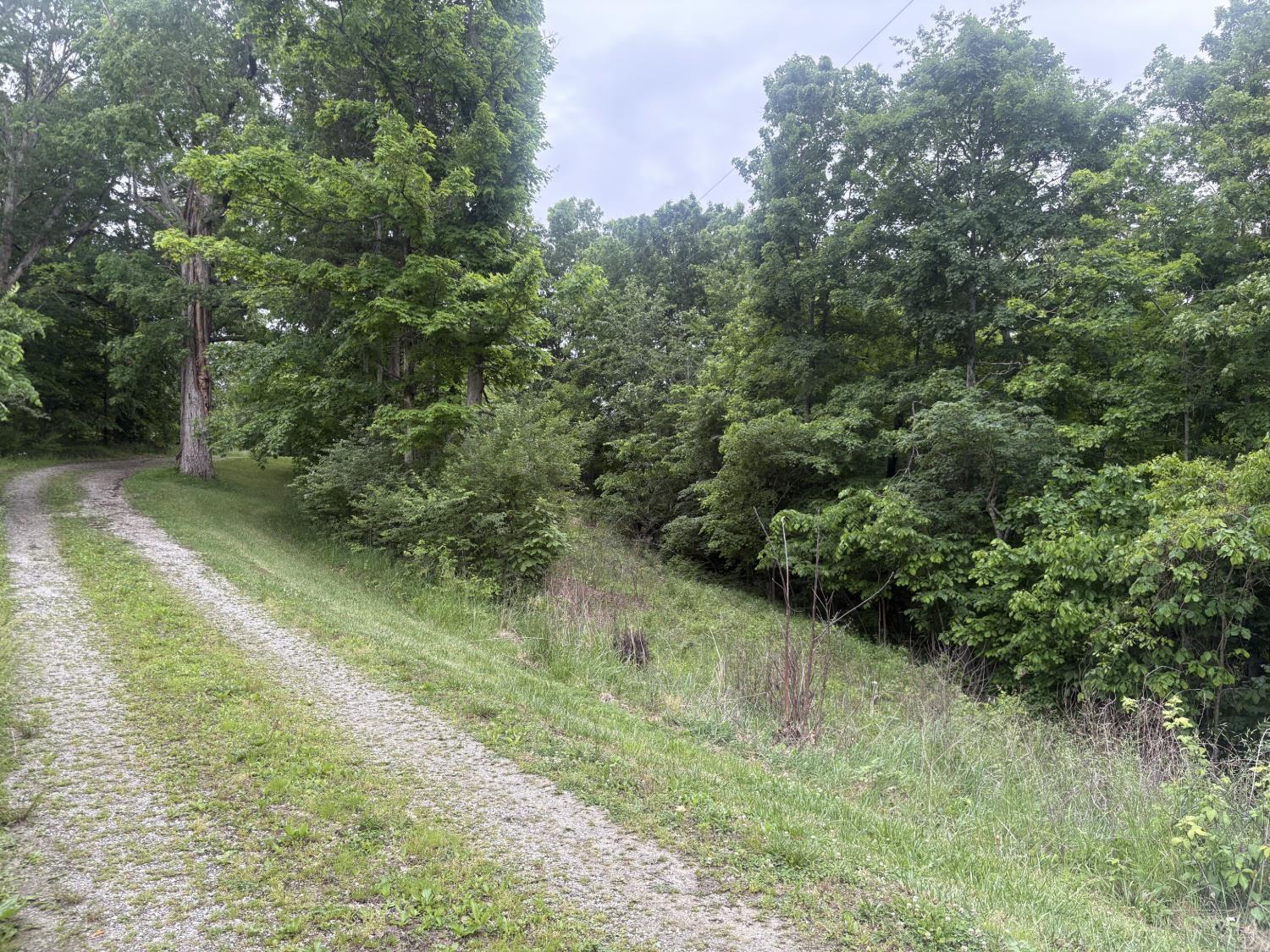 1369 Parker Ridge Road Peebles, OH 45660 - Photo 2 of 6