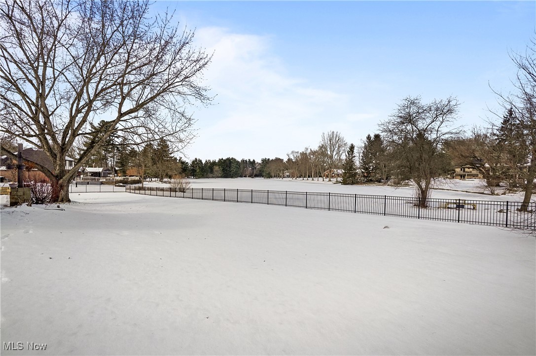1094 San Raphael Drive Akron, OH 44333 - Photo 45 of 50 View of snowy yard