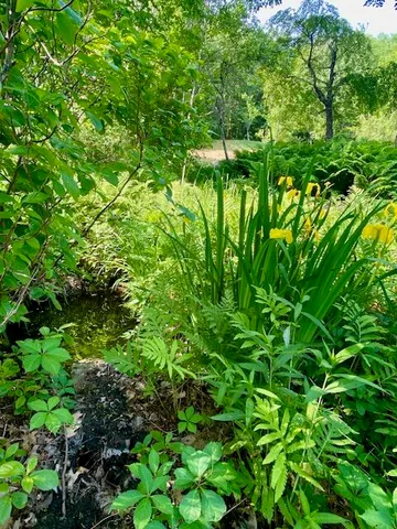 $310,000 | 186 Bridgton Road, Sebago, ME 04029