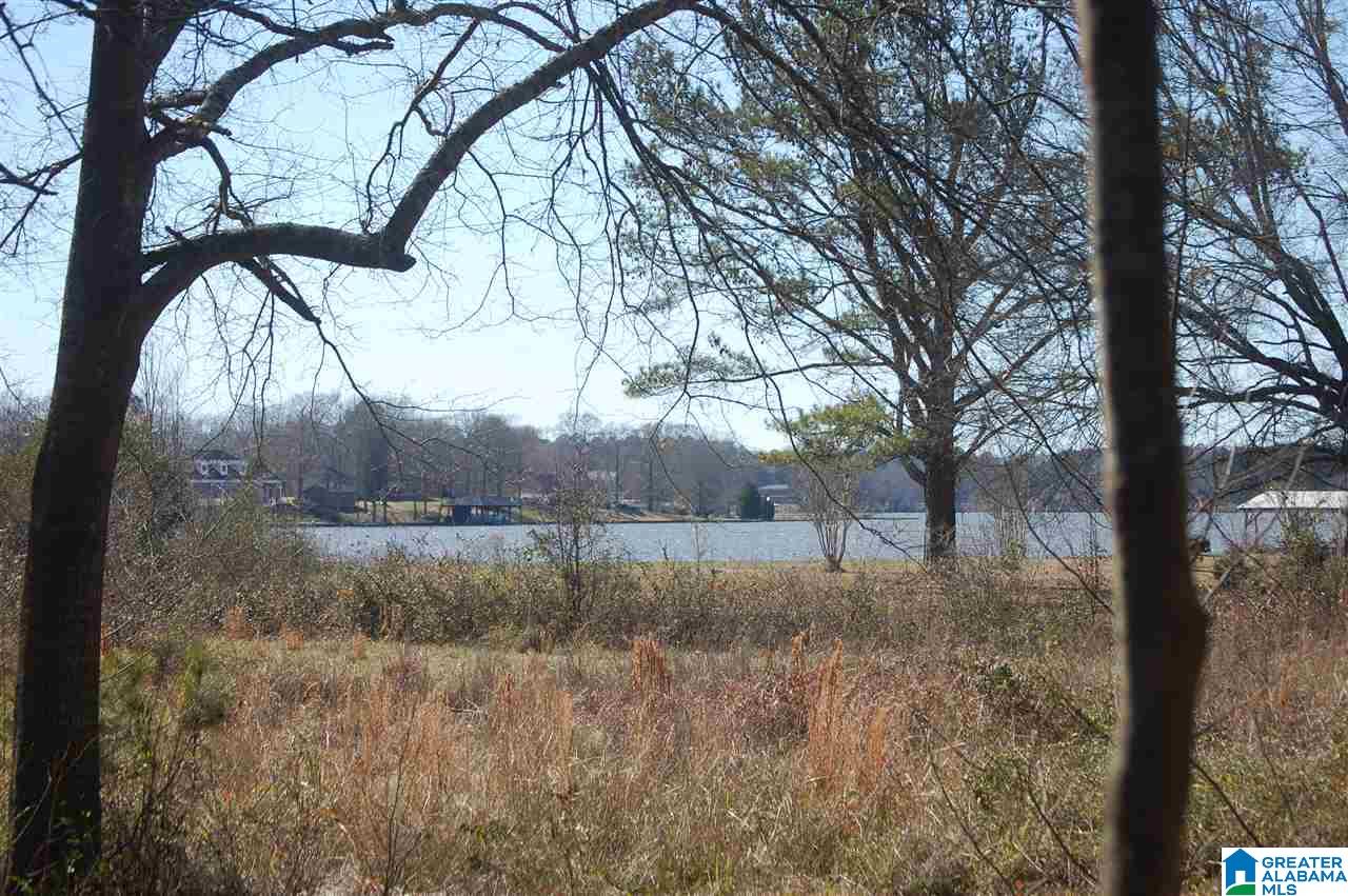 0 Carleton Point, Unit 12 Wilsonville, AL 35186 - Photo 1 of 13