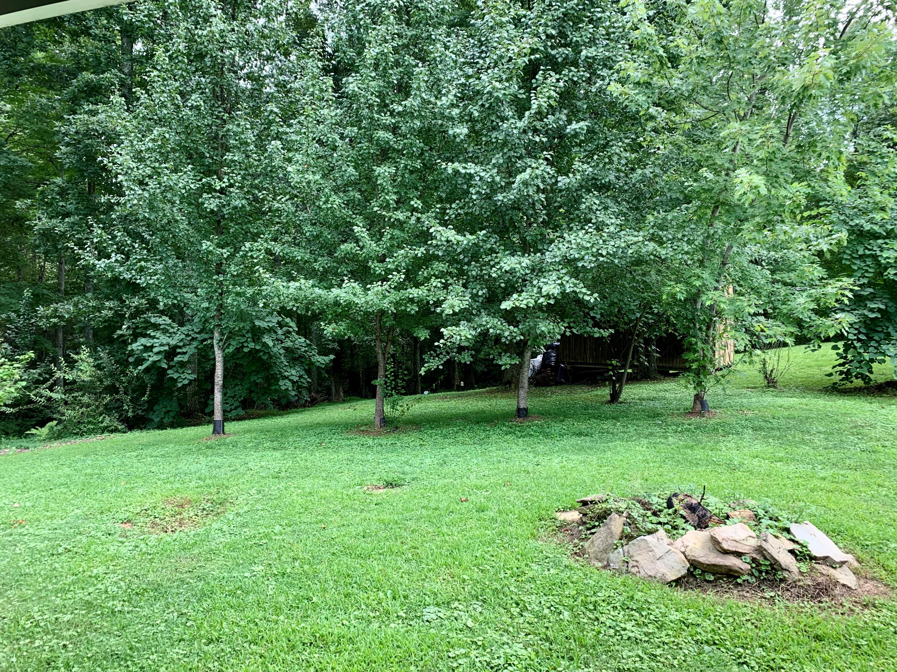 308 Tower Road Frenchburg, KY 40322 - Photo 20 of 27 IMG_8448