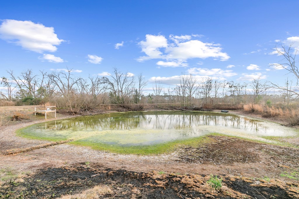 6610 Hodgesville Road Dothan, AL 36301 - Photo 14 of 35