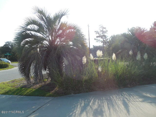 5141 Long Pointe Road Wilmington, NC 28409 - Photo 21 of 25 Landscaping
