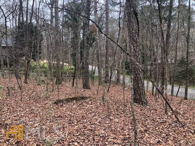 0 Whip-poor-will Road Monticello, GA 31064 - Photo 1 of 1 Gallery Image 1
