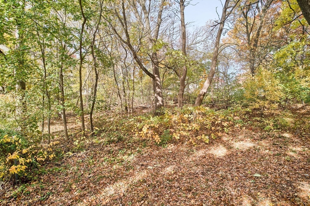 171 Mendon Road Attleboro, MA 02703 - Photo 31 of 38 Gallery Image 31