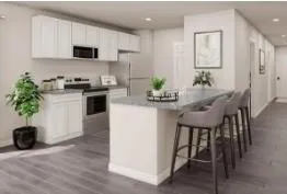 a kitchen with stainless steel appliances a stove a sink a microwave and a potted plant