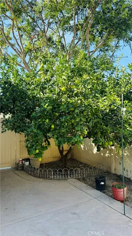 a view of a street and trees