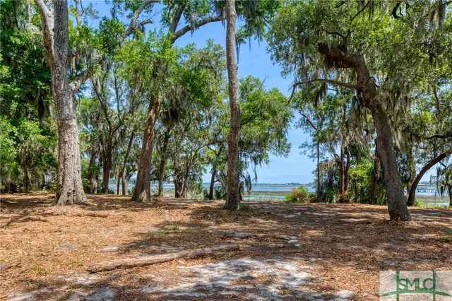 $1,995,000 | 9 Longbridge Road, Savannah, GA 31410