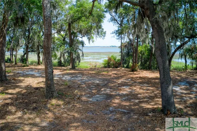 $1,995,000 | 9 Longbridge Road, Savannah, GA 31410