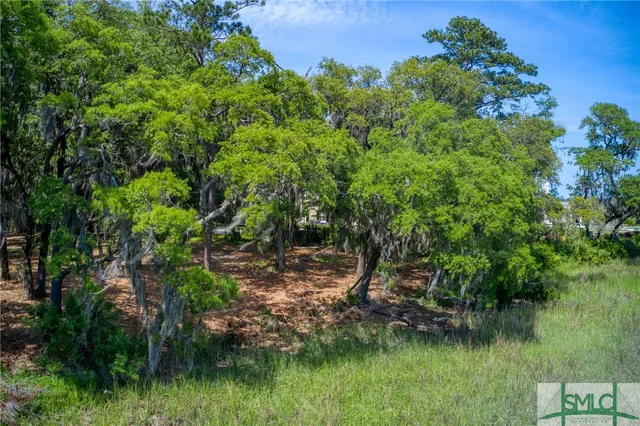 $1,995,000 | 9 Longbridge Road, Savannah, GA 31410