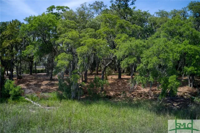 $1,995,000 | 9 Longbridge Road, Savannah, GA 31410